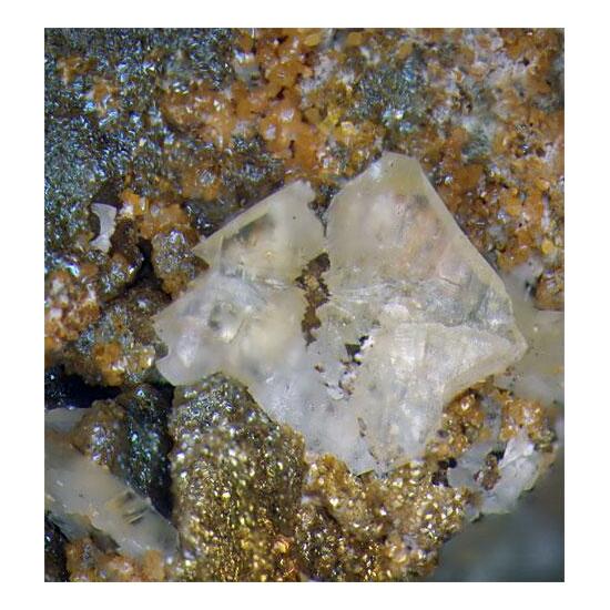 Whewellite