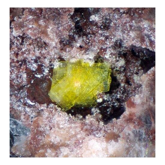 Ianthinite Schoepite & Metauranocircite-I