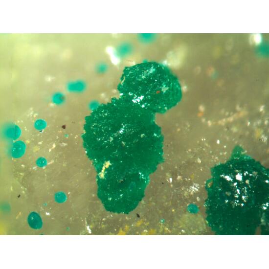 Philipsburgite