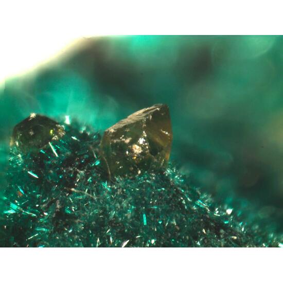 Powellite & Brochantite