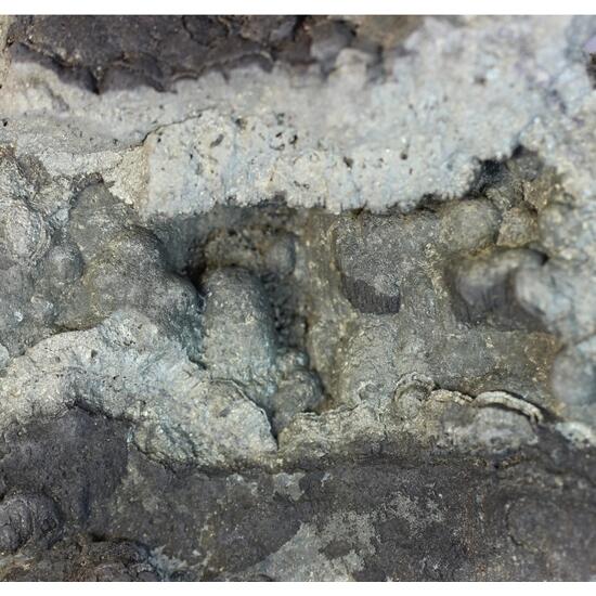 Melnikovite