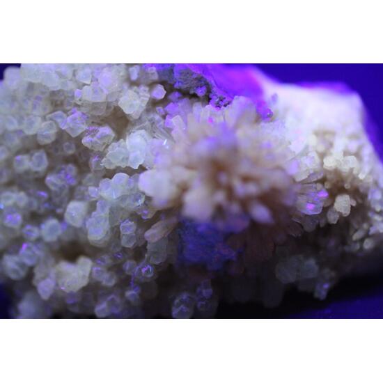 Celestine