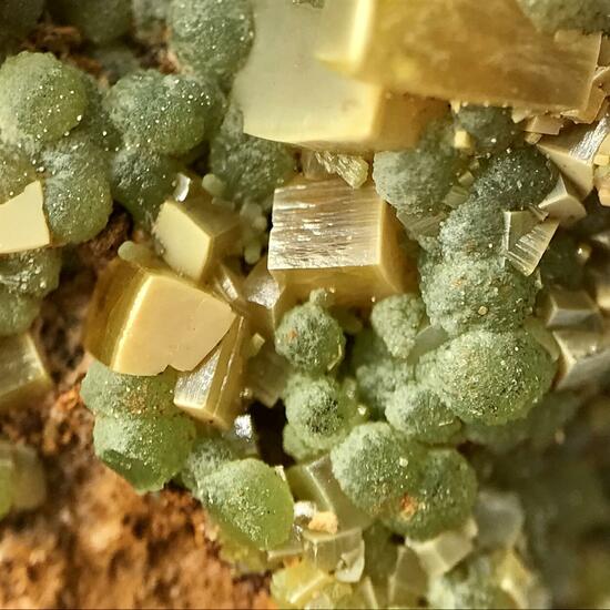 Wulfenite