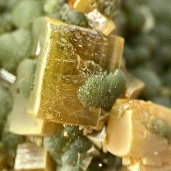 Wulfenite