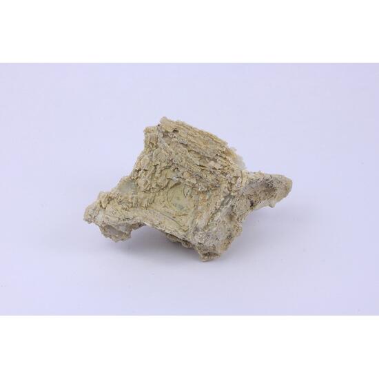 Gypsum Psm Halite