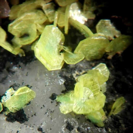 Autunite