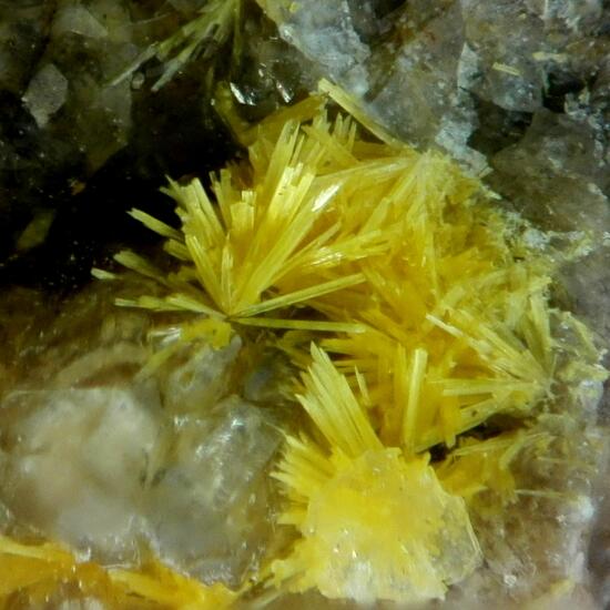 Boltwoodite