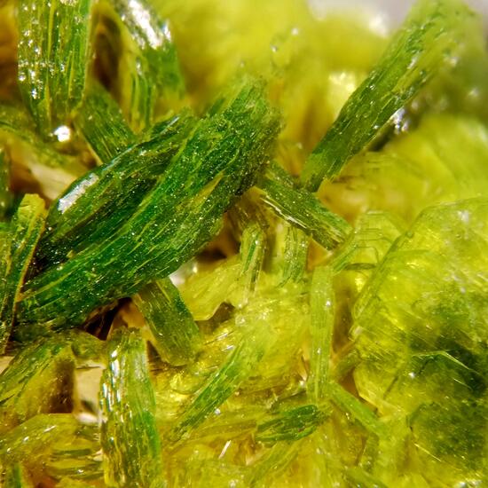 Autunite