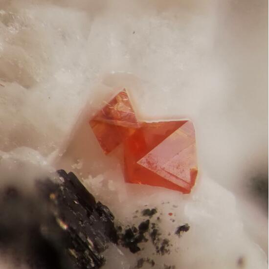 Fluornatropyrochlore