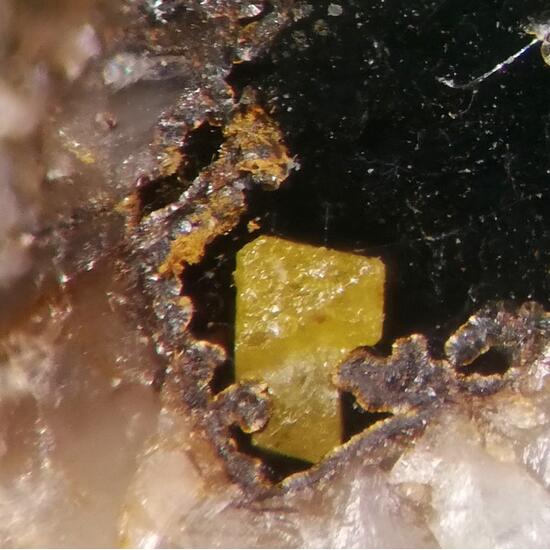 Bromargyrite & Coronadite