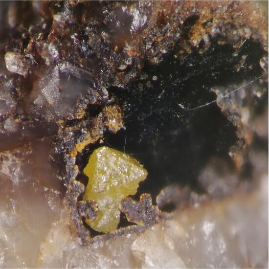 Bromargyrite & Coronadite