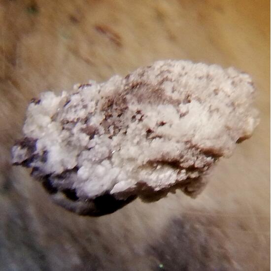 Campostriniite