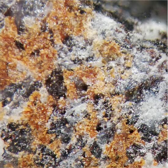 Aldomarinoite