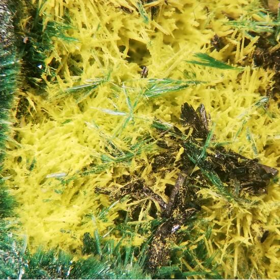Vandenbrandeite Uranophane Schoepite Malachite
