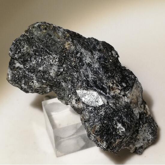 Naujakasite