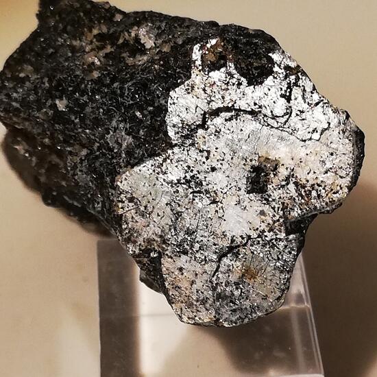 Naujakasite
