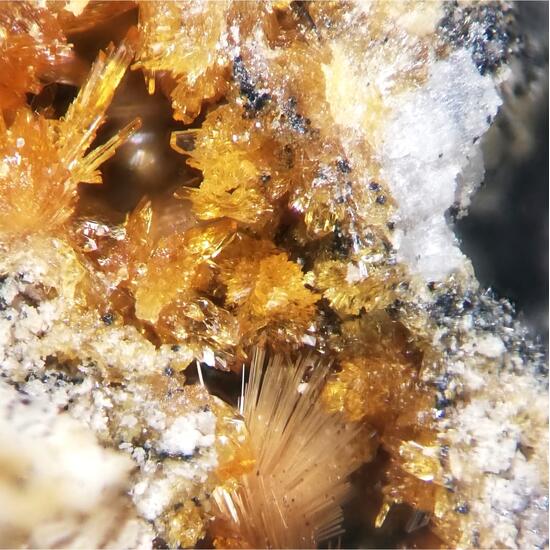 Jahnsite-(CaMnFe) & Strunzite
