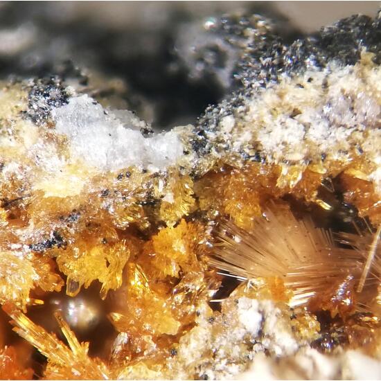 Jahnsite-(CaMnFe) & Strunzite