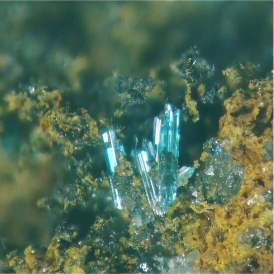 Caledonite