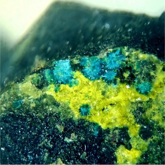 Astrocyanite-(Ce) & Kamotoite-(Y)