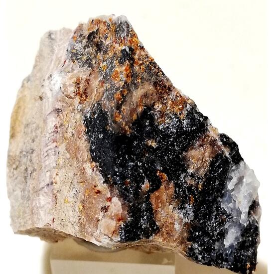 Scheuchzerite