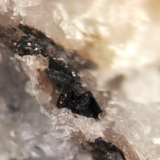 Pinakiolite