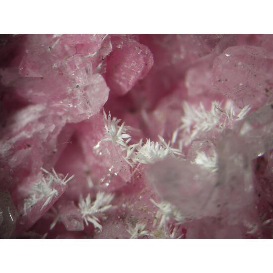 Rhodonite