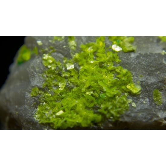 Autunite