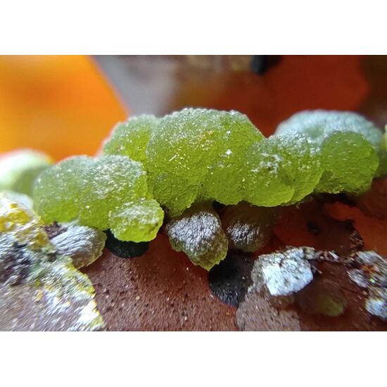 Mimetite On Quartz