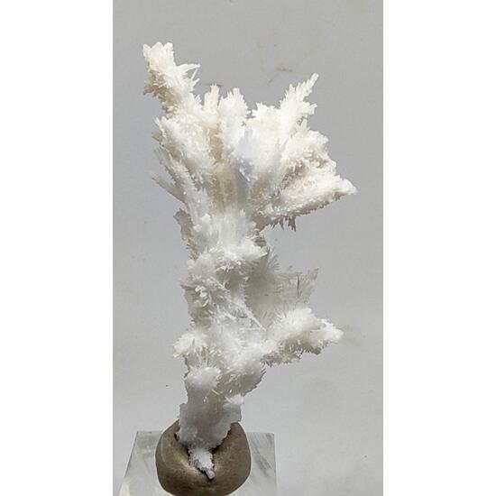 Aragonite