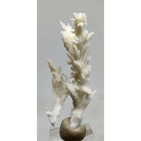 Aragonite