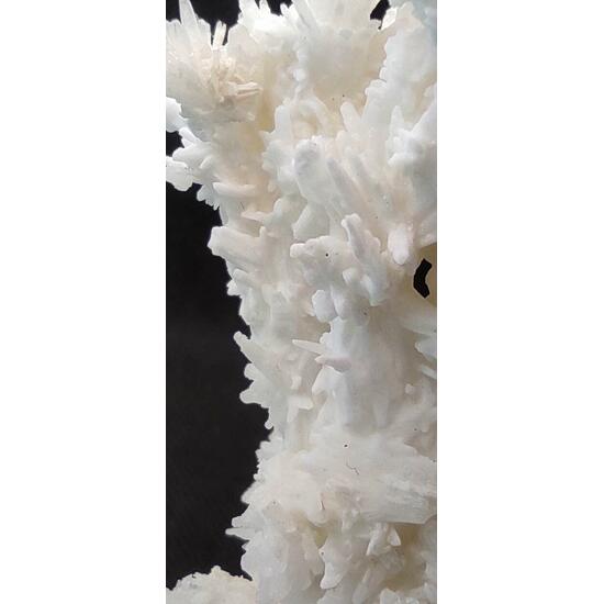 Aragonite