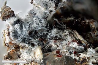 Photos: Tavagnascoite from Bolivia - a significant new find!
